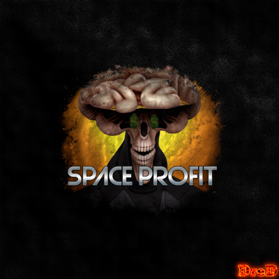 spaceprofit